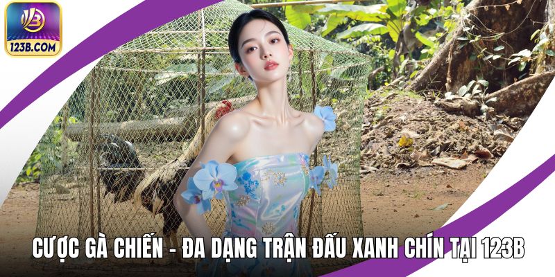 Cược gà chiến
