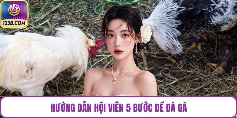 Hướng dẫn hội viên 5 bước để đá gà