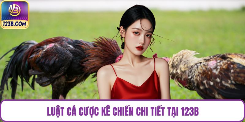 Luật cá cược kê chiến chi tiết tại 123B