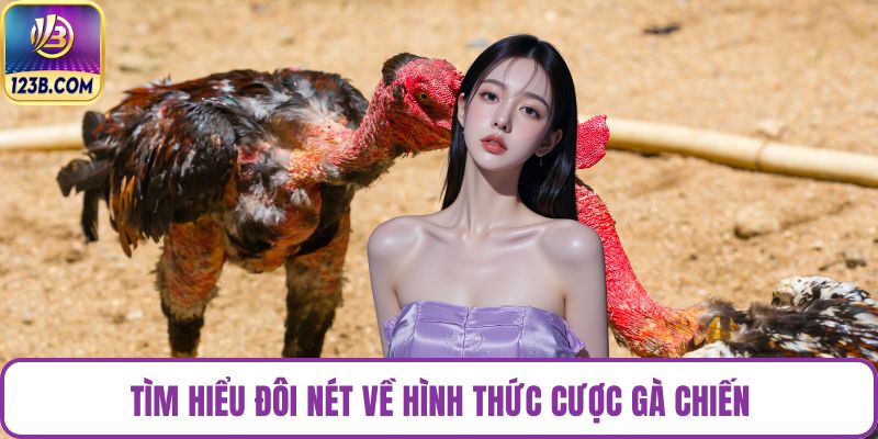 Tìm hiểu đôi nét về hình thức cược gà chiến
