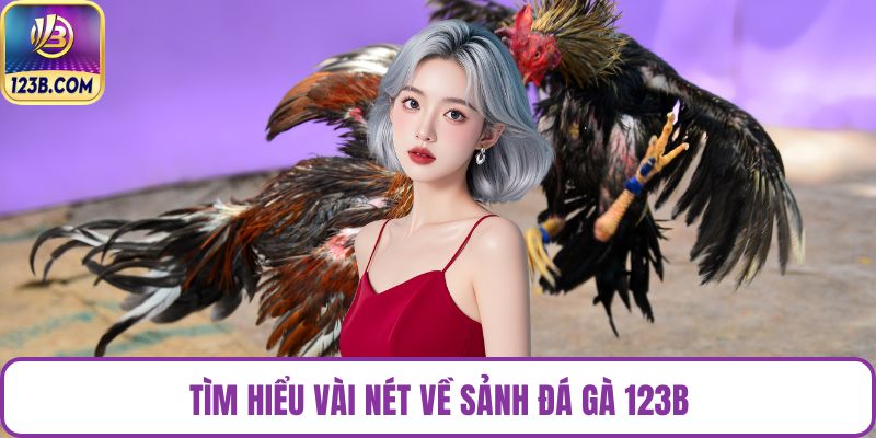 Tìm hiểu vài nét về sảnh đá gà 123B